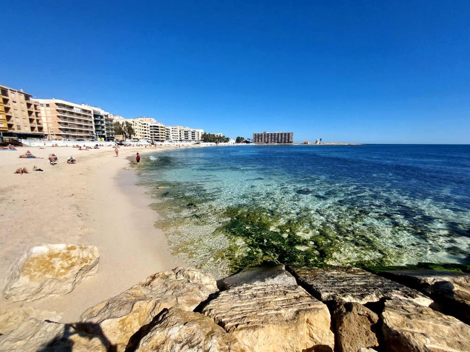 Sunny Apartment In Torrevieja ,100 Meters From Los Locos Beach Exterior photo